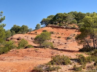 MÉDIATHÈQUE - PINET