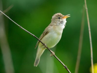 RANDO "Aubusson et sa vallée"