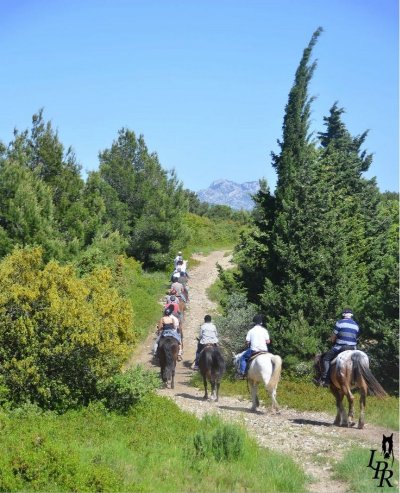 Ecuries Le Petit Roman