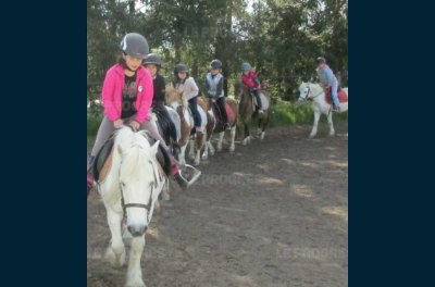 Ecurie Chantereine - Centre équestre
