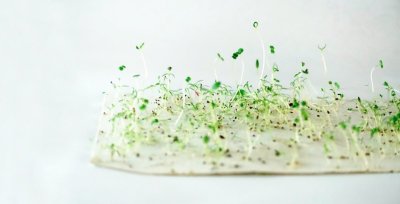 Circuit à vélo de Oradour-sur-Glane à Mortemart