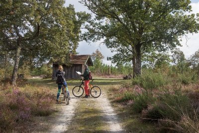 A Garein, dans les traces de la Forêt d'Art contemporain
