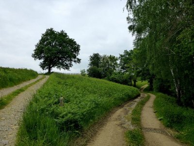 Sentier de découverte du Laring