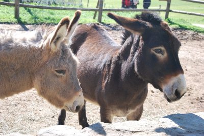 Domaine de la Font de Mai