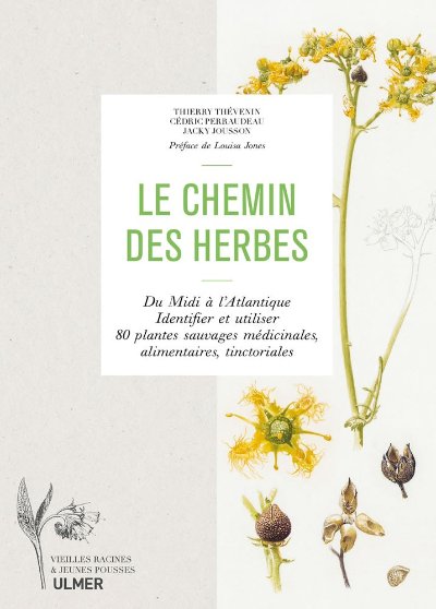 Sentier ethnobotanique - Les plantes médicinales