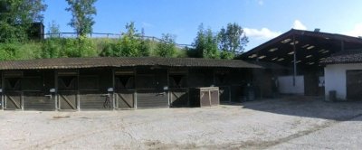 Ecuries de la Chevée