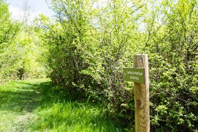 Boucle vélo n°10 Auros