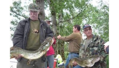 Circuit VTT n°11 le gros chêne
