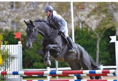 Les Écuries de Verduizant