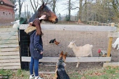 Parc et Jardin du Château de Bosmelet