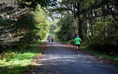 Forêt domaniale de Bastard