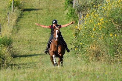 Le Haras de la Colline