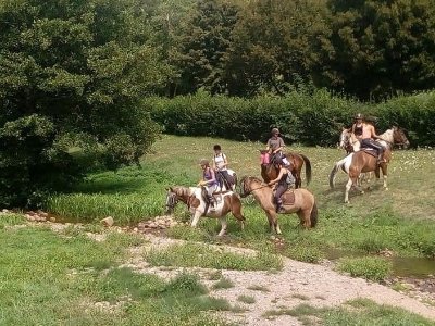 Centre équestre Les écuries de la licorne