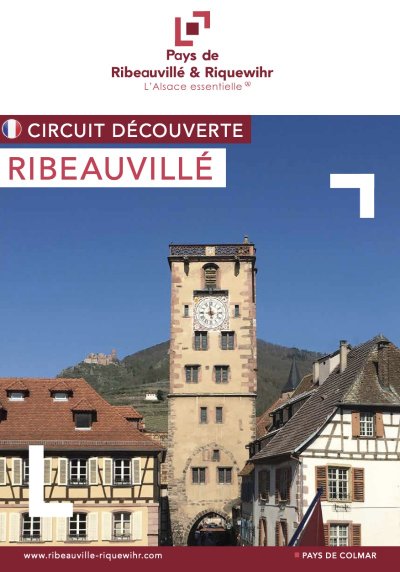 Sentier Géovino - la vigne - Ribeauvillé