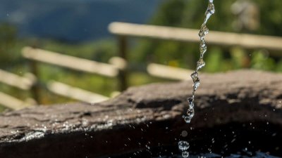 Circuit rando C26 : De Rothau au Champ du Feu