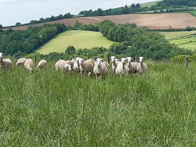 Visite de ferme à Sérieux