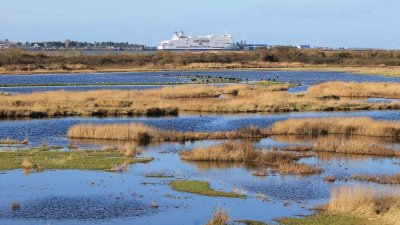 L'estuaire de la Dives
