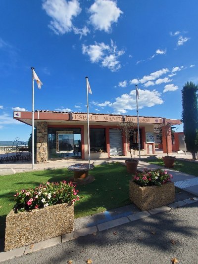 Espace Manfredo Borsi