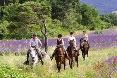 Les Ecuries de la Drôme Provençale