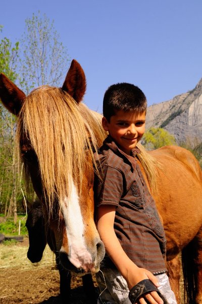 Ferme équestre des Essoulieux - Eleveur de Mérens