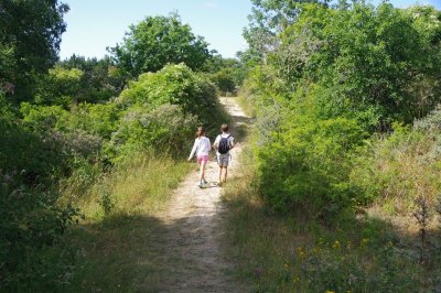 LE SENTIER DES DUNES DE SAINTE CECILE