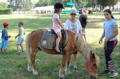 Centre équestre Les Chevaux de la Plaine