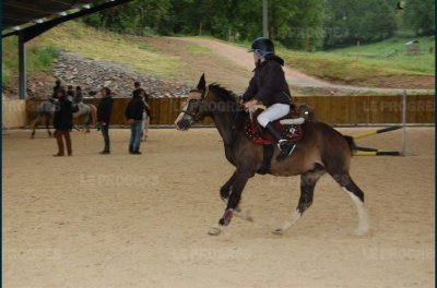 Centre équestre "Les Ecuries de Fay"