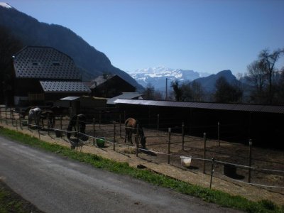 Centre équestre Les Paddocks du Mont Blanc