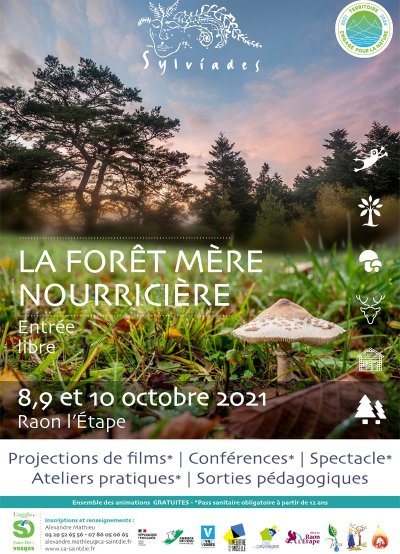 Circuit pédestre - La Criquette