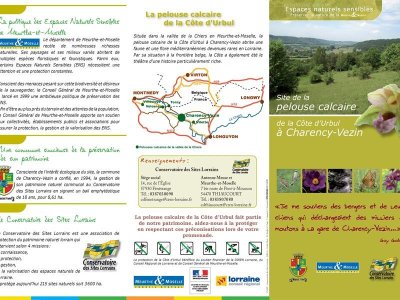 Cote d'Urbul - pelouse calcaire de Charency Vezin