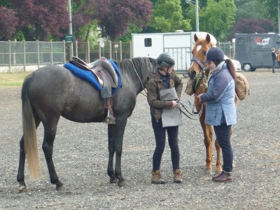 Poney-Club de Marly-le-Roi