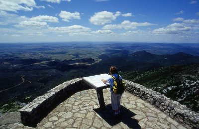 OENORANDO® DE CASTELBARRY - ENTRE VIGNES ET OLIVIERS