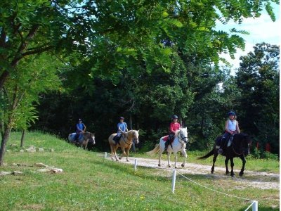 Centre Equestre d'Antoulin