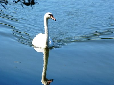 Prairie des étangs de Dordives