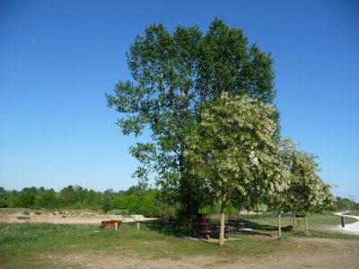 Les grèves et les îles de Maimbray