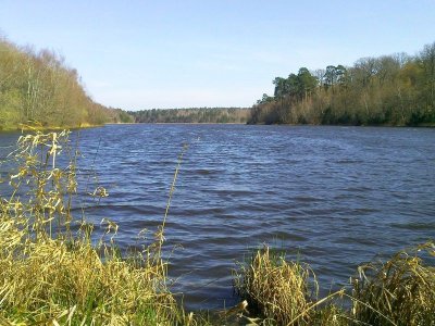 Observatoire du Ravoir - Maison forestière d'Ouzouer-sur-Loire