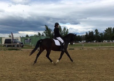 Les écuries de la croix d'or