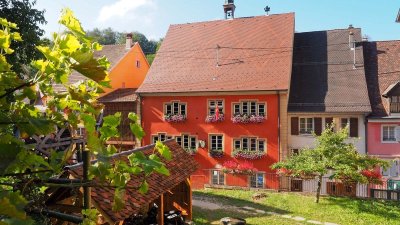 Espace muséal Re-Naissance