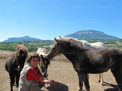 Centre équestre Mon ami Pierrot