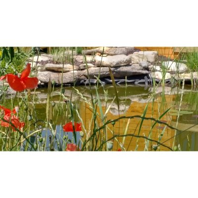 Le jardin pédagogique du square David Ben Gourion