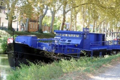 LE CRI DE LA MOUETTE