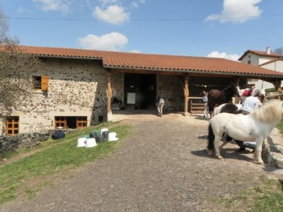 Les Poneys du Farnier