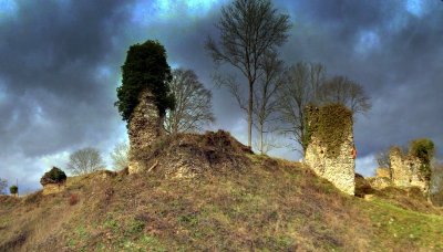 Château médiéval de Montfort