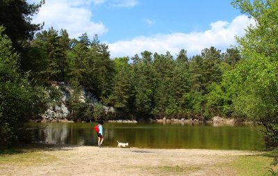 Forêt Départementale d'Avaugour-Bois Meur