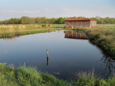 Muséum d'histoire naturelle