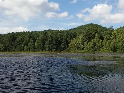 Étang de Waldeck - réserve naturelle