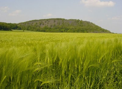TERRIL DE PINCHONVALLES