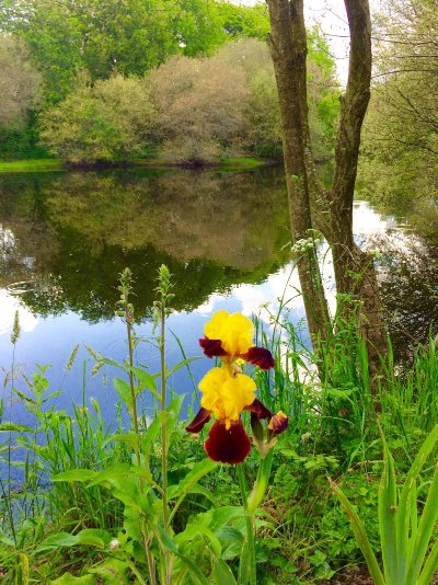 Les Chemins d'Eléonore