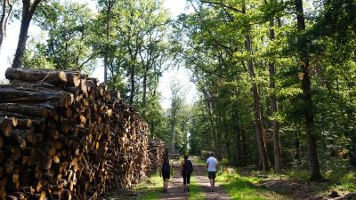 Circuit Le sentier des Merrandiers