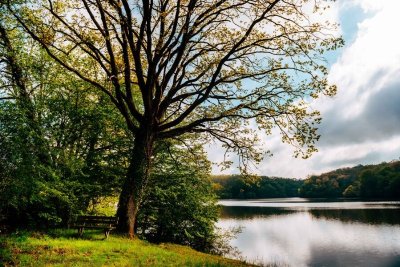 Circuit de l'Étang de Tronçais